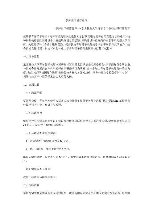 教师出国研修计划