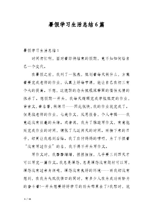 暑假学习生活总结6篇