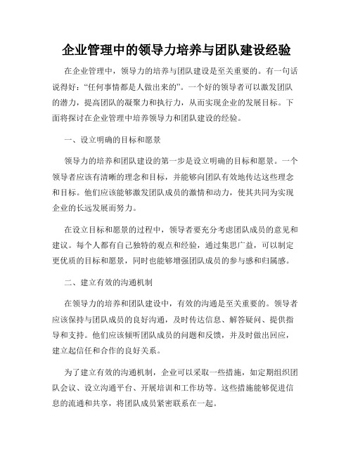 企业管理中的领导力培养与团队建设经验