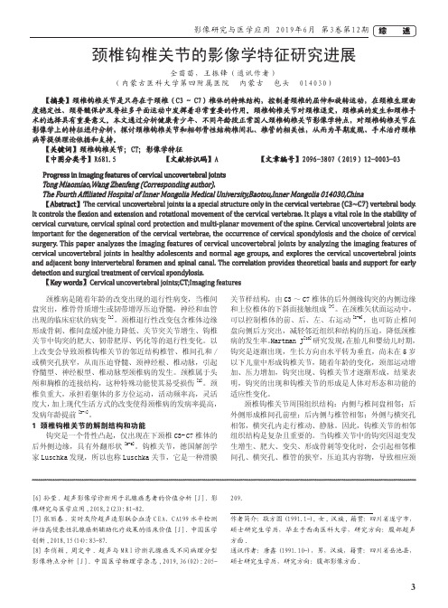 颈椎钩椎关节的影像学特征研究进展