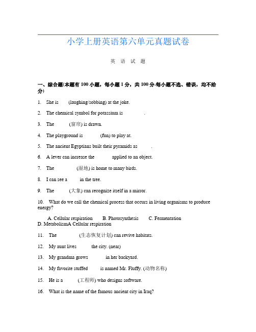 小学上册第十一次英语第六单元真题试卷