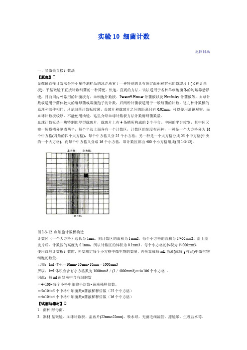 【2017年整理】实验10细菌计数