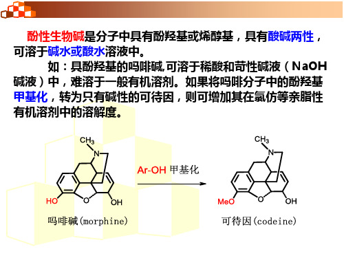 12 生物碱