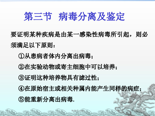 第七章2病毒分离鉴定PPT课件