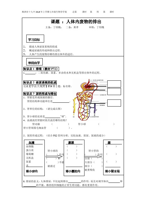 七年级下册生物第五章人体内废物的排出教案