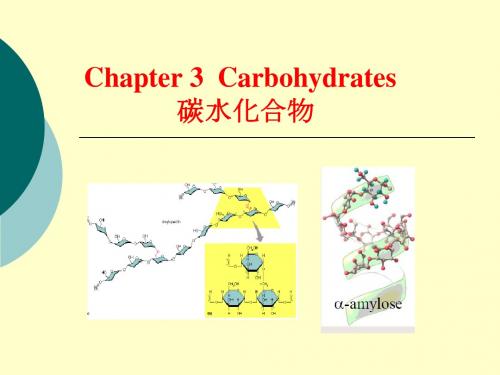 第3章碳水化合物