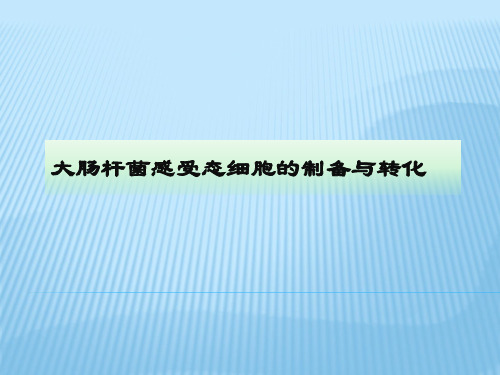 分子生物学：大肠杆菌感受态细胞的制备与转化