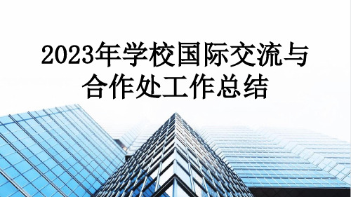 2023年学校国际交流与合作处工作总结