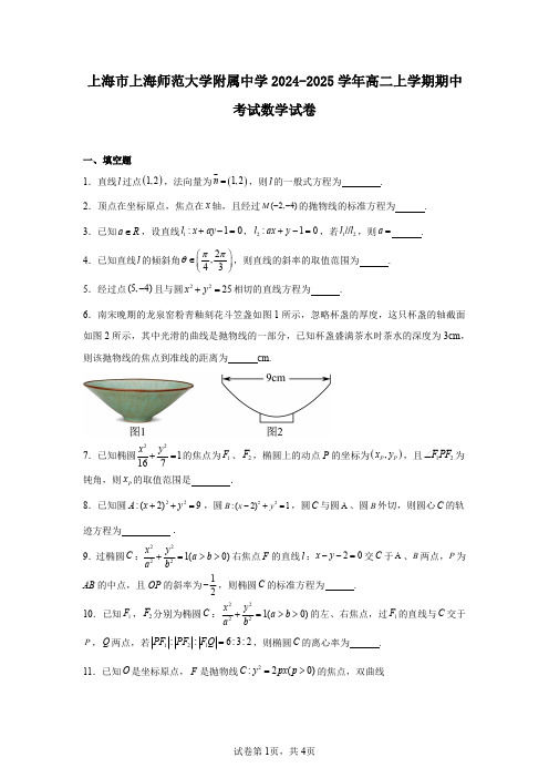 上海市上海师范大学附属中学2024-2025学年高二上学期期中考试数学试卷