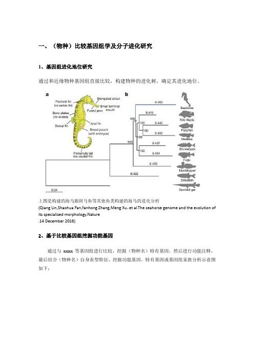 标准分析内容及文章思路