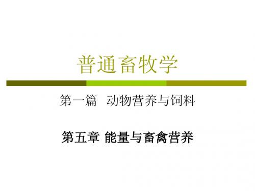 畜牧学-能量与畜禽营养