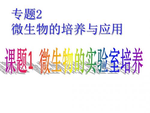 人教版高中生物选修一专题2微生物的培养与应用_课题1 微生物的实验室培养 (1)