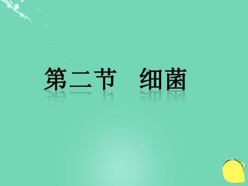 八年级生物上册5.4.2细菌课件(新版)新人教版 (3)