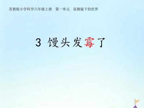 苏教版科学六年级上册第一单元第3课馒头发霉了课件