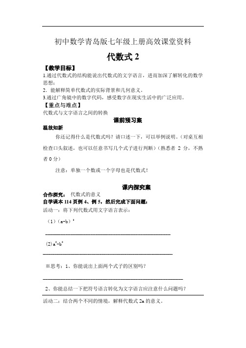 初中数学青岛版七年级上册高效课堂资料42-代数式2