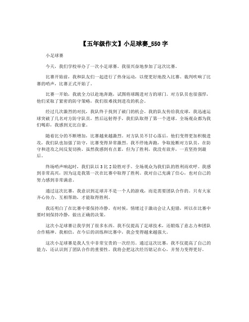 【五年级作文】小足球赛_550字