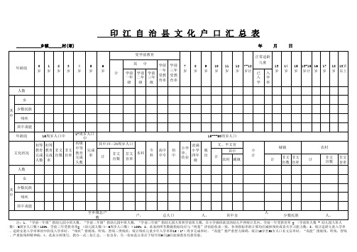 新文化户口汇总表(空表)