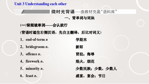 (高中英语-译林版)Unit 3 Understanding each other