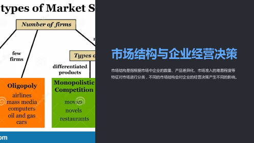 市场结构与企业经营决策