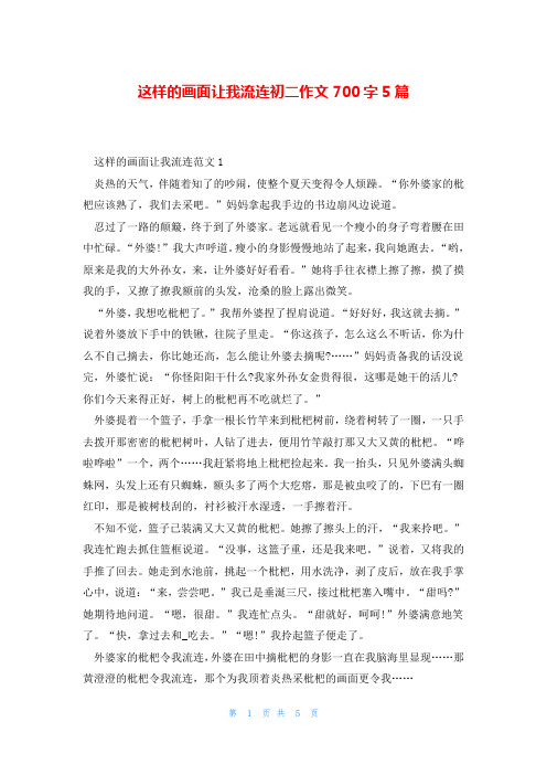 这样的画面让我流连初二作文700字5篇