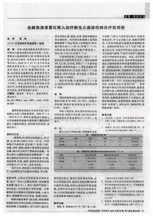 盐酸氨溴索雾化吸入治疗新生儿感染性肺炎疗效观察