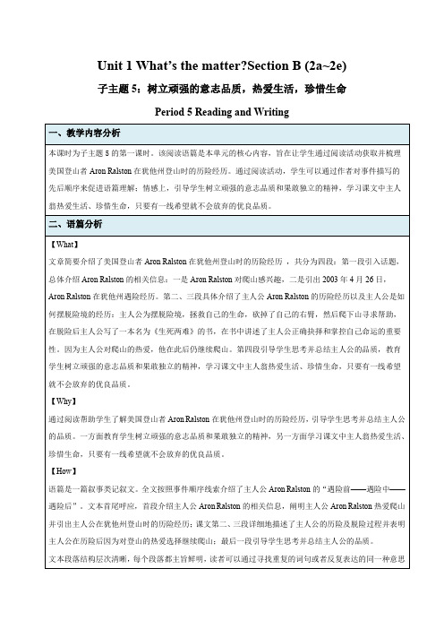 Unit 1 What's the matter？Section B (2a~2e)教案