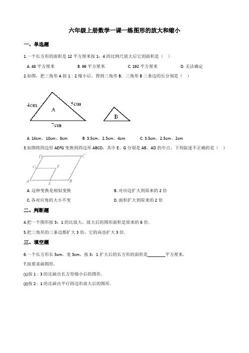 2022年六年级上册数学同步练习 图形的放大和缩小 (含答案) 