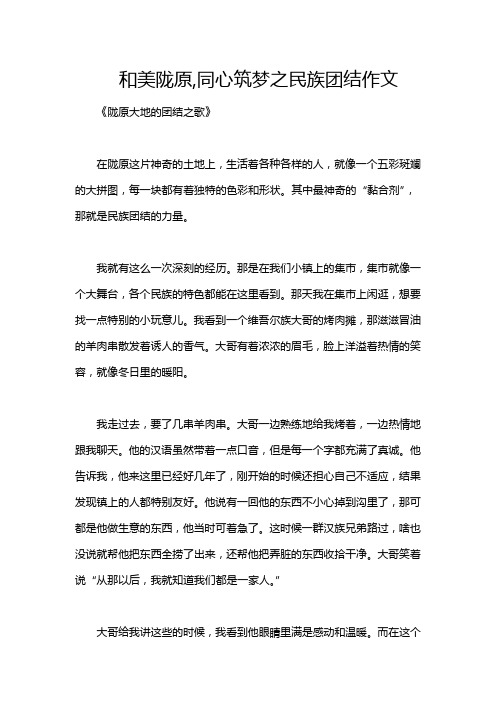 和美陇原,同心筑梦之民族团结作文