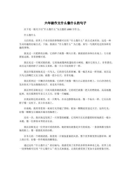 六年级作文什么像什么的句子