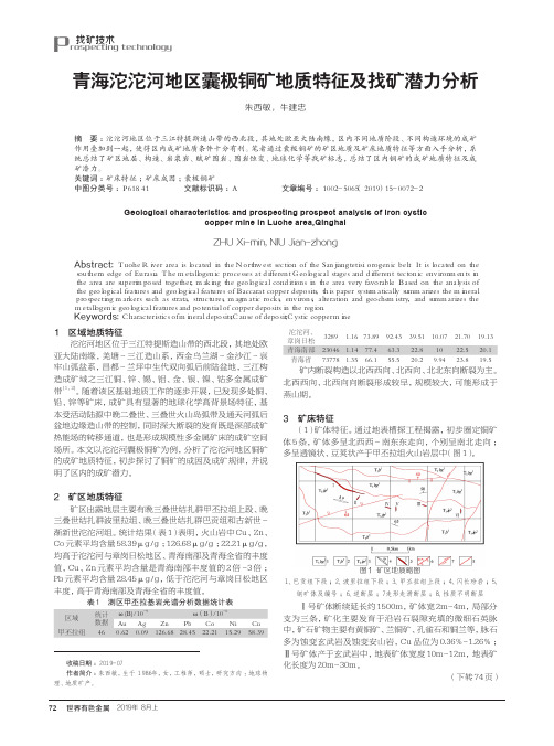 青海沱沱河地区囊极铜矿地质特征及找矿潜力分析