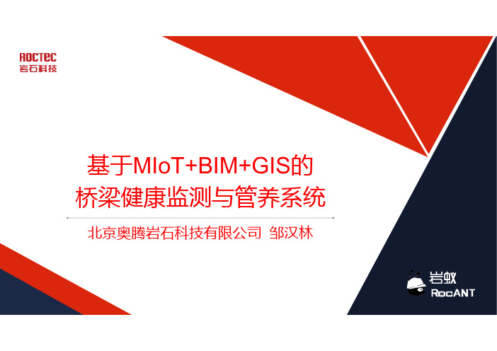 岩石科技-PPT_基于MIoT+BIM+GIS的桥梁健康监测与管养系统