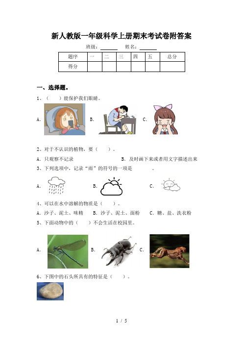 新人教版一年级科学上册期末考试卷附答案