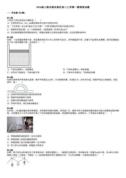 2024届上海市浦东新区高三上学期一模物理试题