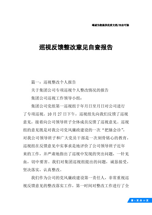 巡视反馈整改意见自查报告