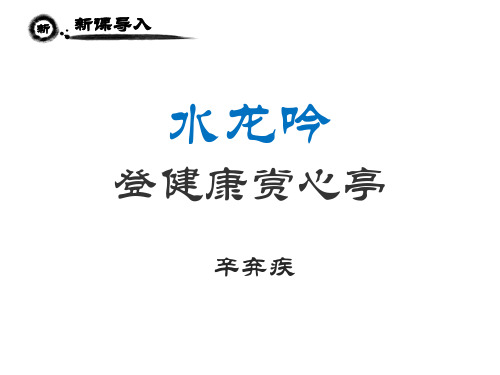 超级详细讲解《水龙吟·登建康赏心亭》直接用市公开课获奖课件省名师示范课获奖课件