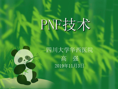 PNF技术