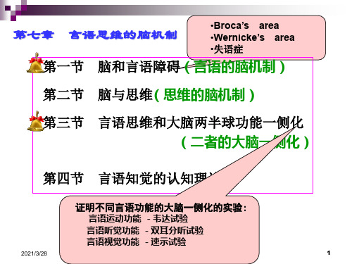 生理心理学第七章-言语与思维的脑机制1