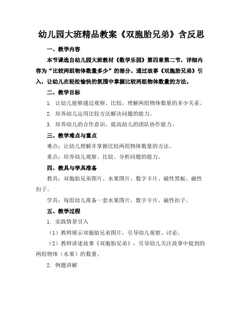 幼儿园大班精品教案《双胞胎兄弟》含反思