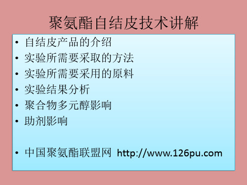 自结皮技术讲解分享