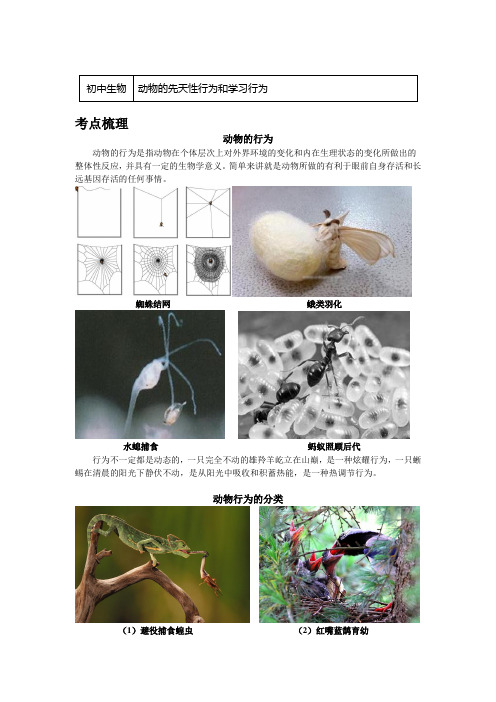 八年级生物上册知识讲义-6.18动物的先天性行为和学习行为-苏教版