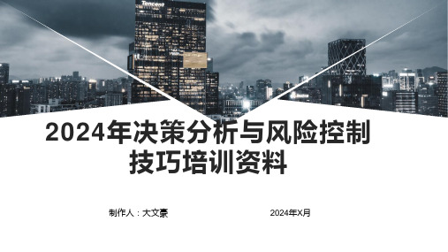 2024年决策分析与风险控制技巧培训资料