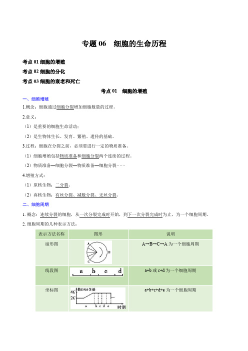 专题06细胞的生命历程(知识梳理)2024年高中生物学业水平考试必备考点归纳与测试(新教材专用)