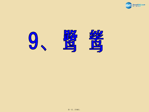 六年级语文下册《鹭鸶》课件1 湘教版