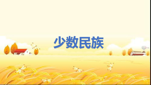 多姿多彩的少数民族 PPT