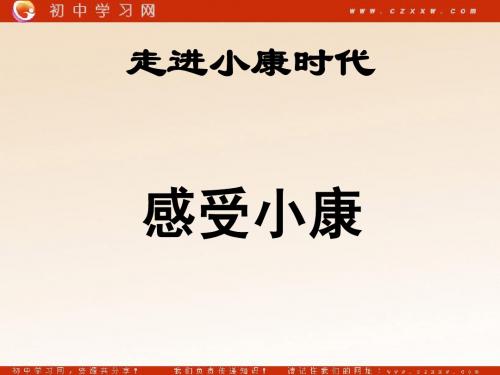 3.3 走向全面小康 课件2 湘教版八年级下册