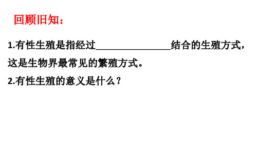 第七节 植物的无性生殖(备课件-2021-2022学年八年级生物上册(济南版