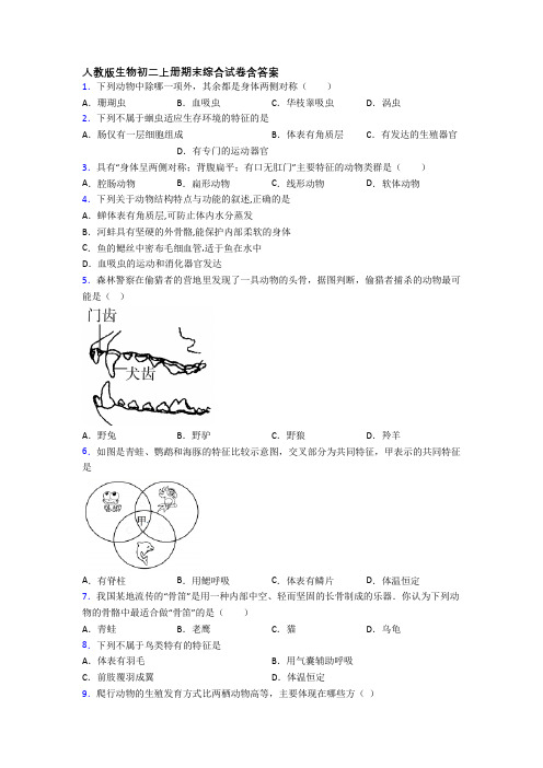 人教版生物初二上册期末综合试卷含答案