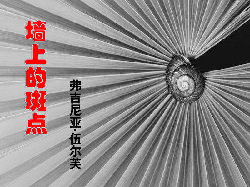 《墙上的斑点》ppt课件(21页)