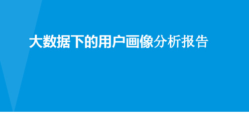 大数据下的用户画像分析报告