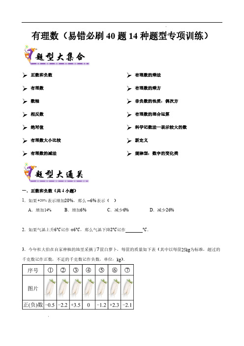 有理数(考题猜想,易错必刷40题14种题型)(原卷版)—七年级数学上学期期中(沪科版2024)